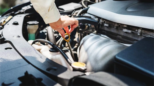 Nissan Servis Apatin Cena